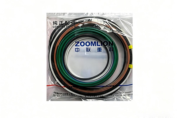 Boom Hydraulic Cylinder Seal Kit 00160720A0400000